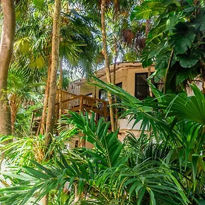 *** Hotel Casa Ambar & Boutique (adults Only) Mexico